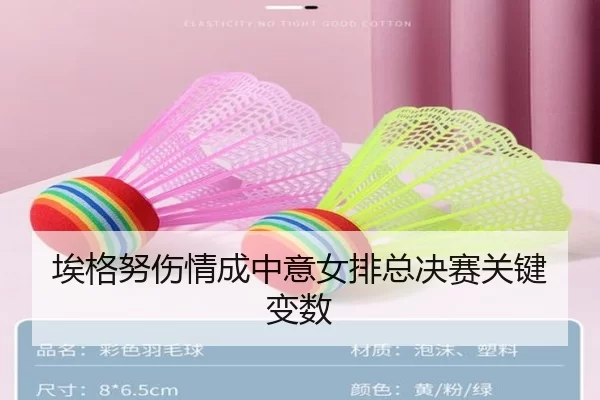 埃格努伤情成中意女排总决赛关键变数