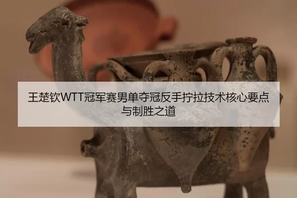 wang-chu-qin-guan-jun-sai-nan-dan-duo-guan-fan-shou-ning-la-ji-shu-he-xin-yao-dian-yu-zhi-sheng-zhi-dao-2-275.jpg